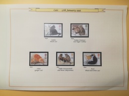 PAGINA PAGE ALBUM GRAN BRETAGNA GREAT BRITAIN 1995 GATTI CATS DESCRIZIONE PAGES WITH DESCRIPTION - Collections