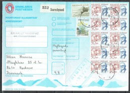 Czeslaw Slania. Greenland 1992. Parcel Card. Parcel Sent From Scoresbysund To Denmark. - Colis Postaux