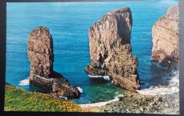 United Kingdom - Stack Rocks, Pembs., Wales - Pembrokeshire