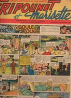 Fripounet Et Marisette N°39 Le Secret De La Goule Rouge - Les 13 Marches - Sylvain Et Sylvette - L'écureuil En Deuil ... - Fripounet