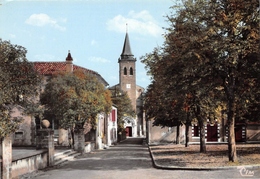 VILLENEUVE-de-MARSAN - La Place Et L'Eglise - Villeneuve De Marsan