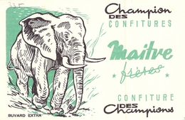 Ancien Buvard Collection CONFITURES MAITRE FRERES ELEPHANT - C