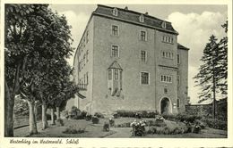 WESTERBURG Im Westerwald, Schloss (1920s) AK - Westerburg