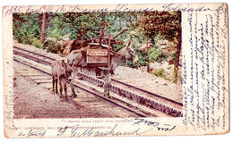 6905 - Colorado ( USA ) Rocky-Mountain - I Helped Build Pike's Peak Railway - By Détroit Phot. & Co. - N°5597 - - Rocky Mountains