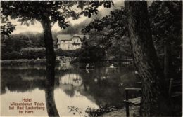 CPA AK Bad Lauterberg Hotel Wiesenbeker Teich GERMANY (955786) - Bad Lauterberg