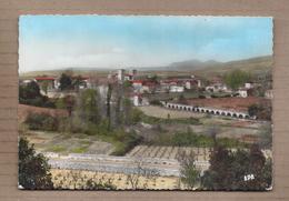 CPSM 34 - ANIANE - Vue Générale - TB PLAN D'ensemble Du Village Détails Maisons + Vignes 1er Plan 1965 - Aniane