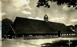 56    Morbihan   Le Faouet    La Grande Halles   Cpsm - Faouët