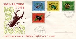 Insectes Insekt - FDC Nederlands Nieuw-Guinea Nouvelle-Guinée NL - Hollandia 1961 - Niederländisch-Neuguinea