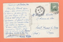 MONACO - N° 228 1F20 SEUL SUR CARTE POSTALE ALOES DIVERS OPUNTIA TOMENTOSA - Brieven En Documenten