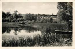 MORTAGNE ETANG DE LA FOLLE ENTREPRISE - Mortagne Au Perche