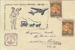 ROMANIAN STAMP'S CENTENARY, MUSHROOMS STAMPS, DELIVERED BY POSTCHASE, SPECIAL COVER, 1958, ROMANIA - Covers & Documents
