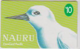 NAURU - WHITE TERN - BIRD - Nauru