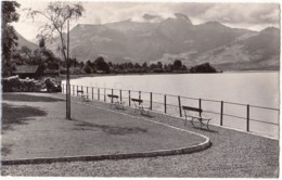 Seepromenade Bei Sachseln Am Sarnersee - 597 - Switzerland - 1953 - Used - Sachseln