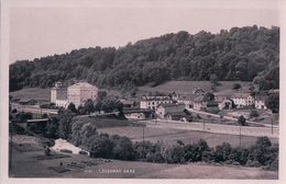 Cossonay Gare VD, Chemin De Fer, Les Grands Moulins Et La Venoge (6781) - Cossonay