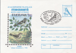 BIRDS, HOUSE SPARROW, COVER STATIONERY, ENTIER POSTAL, 1995, ROMANIA - Sparrows