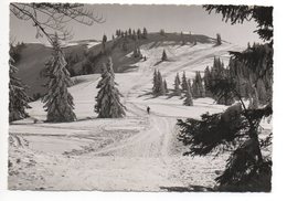 EBNAT-KAPPEL Ski-Abfahrt Tanzboden - Ebnat-Kappel