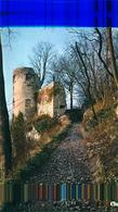 Ferrette 68 Hyper Grande Photo-carton Ruines Du Château De Ferrette Ed Combier Cim (VOIR DETAILS DESCRIPTIONS) - Ferrette