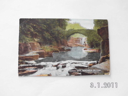 Newcastle-on-Tyne. - Jesmond Dene. (9 - 5 - 1908) - Newcastle-upon-Tyne