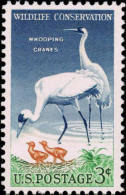 1957 USA Wildlife Conservation - Whooping Crane Stamp Sc#1098 Kid Wetland Cranes Bird Mother - Water