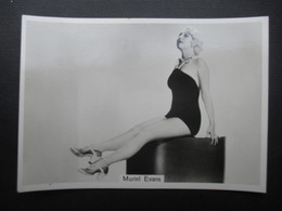 REAL PHOTO - PIN UP (V2004) MURIEL EVANS (2 Vues) N°12 BEAUTIES OF TO-DAY Sixth Series - Phillips / BDV