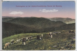 (3236) AK Büssingen, Bussang, Lothringen, Grenze, Feldpost 1917 - Lothringen