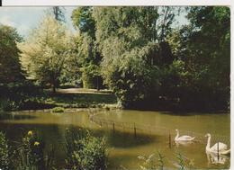 POITIERS VIENNE BIRD  FRANCE POSTCARD UNUSED - Vouneuil Sur Vienne