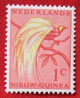 1 Ct Paradijsvogels Birds Vogel NVPH 25 1954 Ongebruikt MH NIEUW GUINEA NIEDERLANDISCH NEUGUINEA NETHERLANDS NEW GUINEA - Niederländisch-Neuguinea