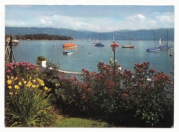 Wasserburg Am Bodensee - Blick Von Wasserburg Auf Die Bregenzer Bucht - Wasserburg A. Bodensee