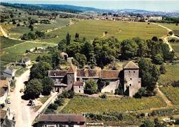 21-GEVREY-CHAMBERTIN- VUE AERIENNE LE CHATEAU - Gevrey Chambertin