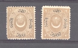 Turquie  -  Taxes  :  Yv  11-12  *  , (*) - Postage Due