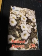 FALKLAND ISLANDS   20  Pound FALKLAND FLOWERS   New  Logo C&W *418 ** MINT - Falkland