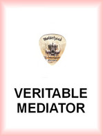 MOTORHEAD MEDIATOR Medium PLECTRUM Guitar Pick MOTÖRHEAD AFTERSHOCK - Zubehör & Versandtaschen