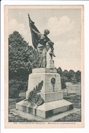 1204 - PHALSBOURG - Monument Commémoratif - Phalsbourg