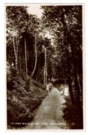 Ref 1348 - Early Real Photo Postcard - Walkers - Pine Walk - Lower Road Folkestone Kent - Folkestone