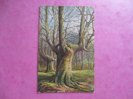 CPA ROYAUME UNI BURNHAM BEECHES ARBRES  ILLUSTRATEUR OILETTE RAPHAEL TUCK - Buckinghamshire