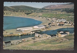 NEWFOUNDLAND - Fishing Community Of Trout River - 1960s - Unused - Other & Unclassified