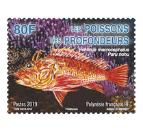 2019-11- FRENCH POLYNESIA  Stamps Face Value Price  FISHE II   1V      MNH** - Unused Stamps