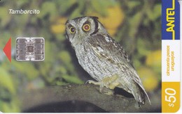 Nº 195 TARJETA DE URUGUAY DE ANTEL DE UN TAMBORCITO (BUHO-OWL-CHOUETTE) - Owls