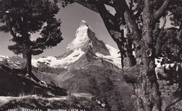 Riffenalp, Matterhorn (pk68748) - Matt