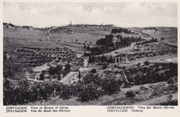 ISRAEL,JERUSALEM,MONT DES OLIVIERS - Israele