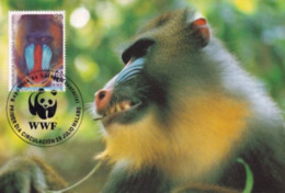 1991 - MALABO GUINEE EQUATORIALE - Republica De GUINEA ECUATORIAL - Mandrill - Guinée Equatoriale