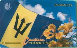 BARBADES  -  Phonecard  -  Cable § Wireless  -  B $ 40 - Barbados