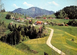 STERNENBERG Blick Auf Hörnli - Sternenberg