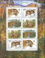 Russia 1993 M/S Siberian Tigers Animals Panthera Fauna Mammals Nature W.W.F. Forest Protection WWF Stamps MNH Mi 343-346 - Collections, Lots & Séries