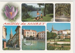 Muret - Muret