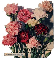 Printemps 1930 - Grand Découpis De Fleurs - 19 X 21 Cm - Flores