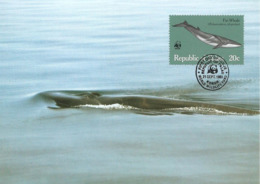 1983 - PALAU (Belau Ou Pelew) -   Fin Whale   - Baleine WWF - Palau