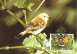 1989 - COOK ISLANDS - Rarotonga Flycatcher - Oiseau Mouche WWF - Cookeilanden