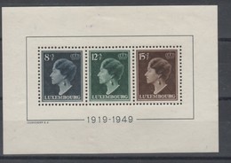 Luxembourg _ Bloc 1919/49  N°424A /424 /c - 1914-24 Maria-Adelaide