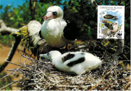 1990 - CHRISTMAS ISLAND - Abbott's Booby - Fou D'Abbott WWF - Islas Christmas